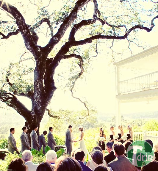 wedding.png : 결혼했건 안했건간에 당신이 이 글을 읽길 바랍니다(번역).txt