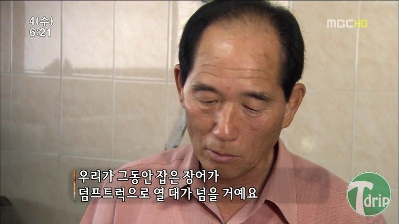 003.jpg : 풀 수 없는 뱀장어 미스테리.JPG 003.jpg : 풀 수 없는 뱀장어 미스테리.JPG
