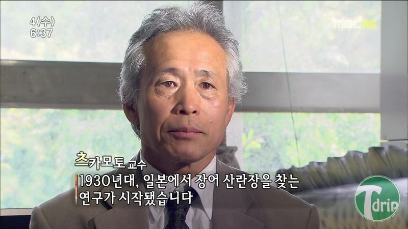 009.jpg : 풀 수 없는 뱀장어 미스테리.JPG 009.jpg : 풀 수 없는 뱀장어 미스테리.JPG