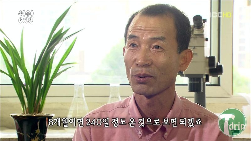 016.jpg : 풀 수 없는 뱀장어 미스테리.JPG 016.jpg : 풀 수 없는 뱀장어 미스테리.JPG