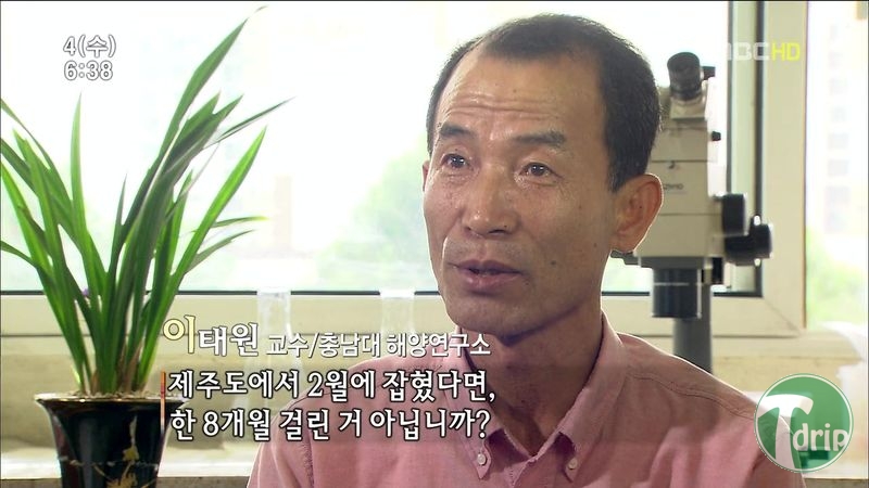 015.jpg : 풀 수 없는 뱀장어 미스테리.JPG 015.jpg : 풀 수 없는 뱀장어 미스테리.JPG