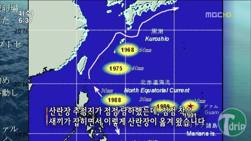 010.jpg : 풀 수 없는 뱀장어 미스테리.JPG 010.jpg : 풀 수 없는 뱀장어 미스테리.JPG