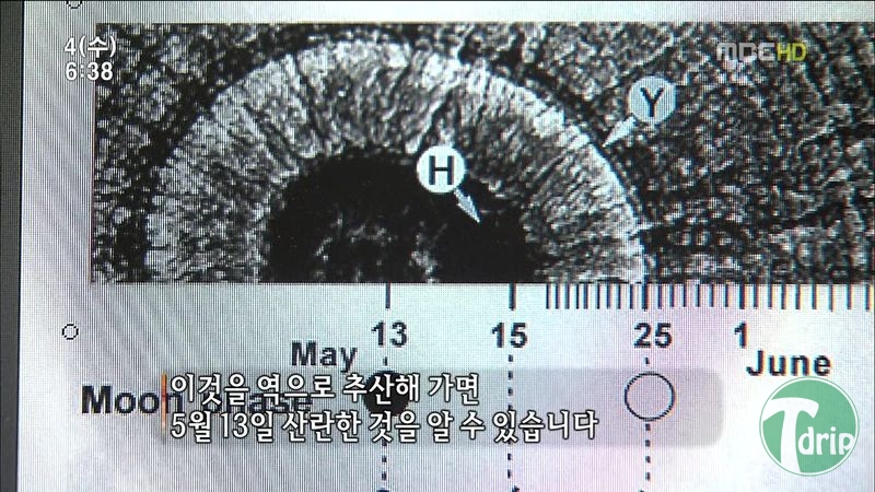 014.jpg : 풀 수 없는 뱀장어 미스테리.JPG 014.jpg : 풀 수 없는 뱀장어 미스테리.JPG