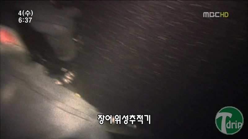 011.jpg : 풀 수 없는 뱀장어 미스테리.JPG 011.jpg : 풀 수 없는 뱀장어 미스테리.JPG