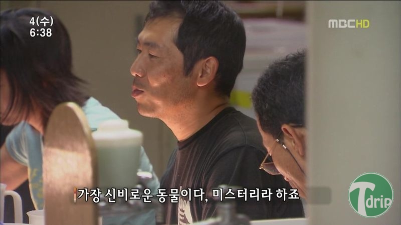 018.jpg : 풀 수 없는 뱀장어 미스테리.JPG 018.jpg : 풀 수 없는 뱀장어 미스테리.JPG