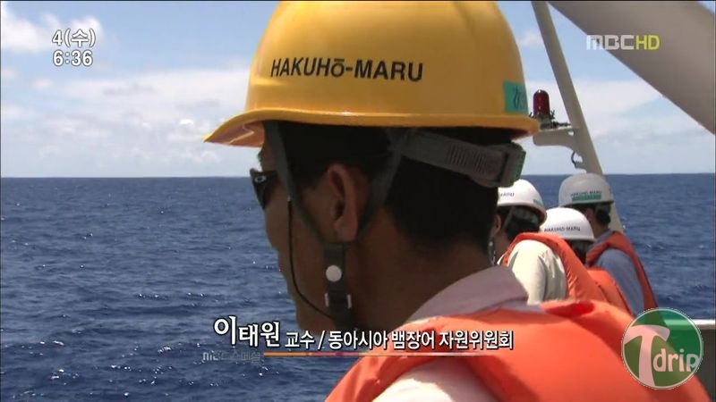 008.jpg : 풀 수 없는 뱀장어 미스테리.JPG 008.jpg : 풀 수 없는 뱀장어 미스테리.JPG