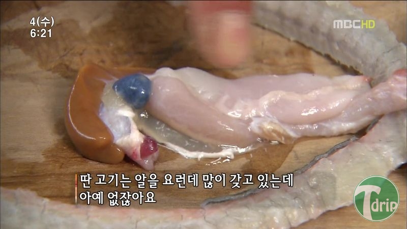 005.jpg : 풀 수 없는 뱀장어 미스테리.JPG 005.jpg : 풀 수 없는 뱀장어 미스테리.JPG