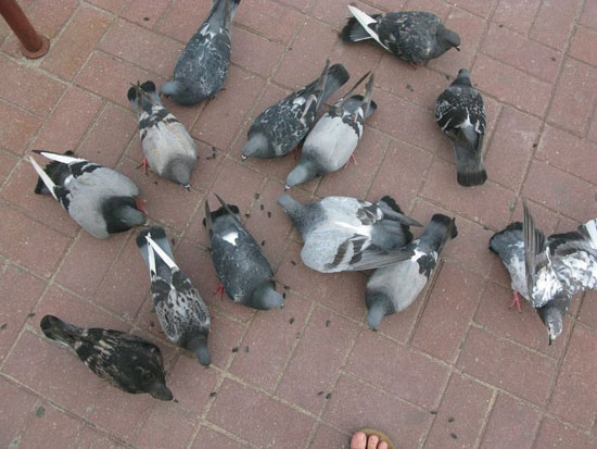 4.jpg