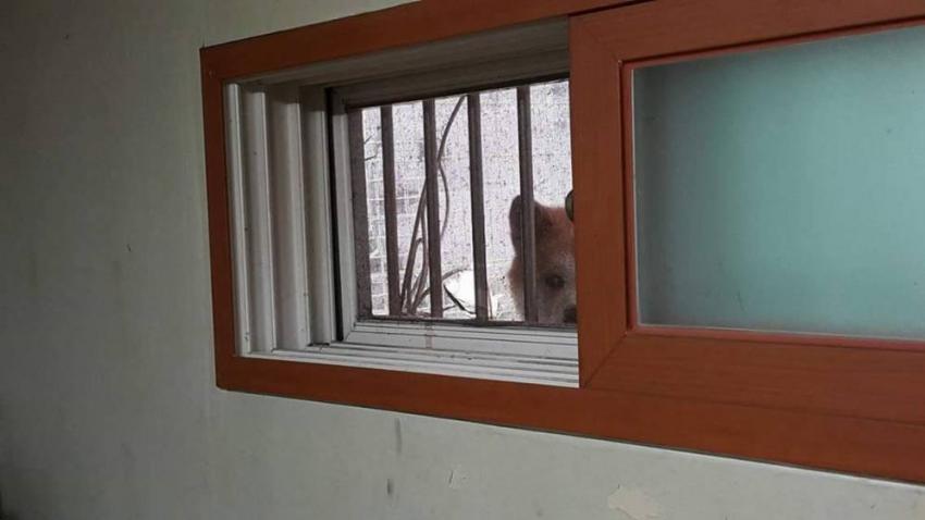 web_1891189951_d5d37040_image.jpeg : 반지하에 살면 생기는 일