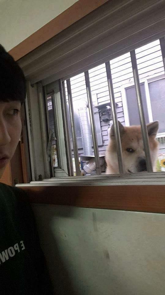 1891189951_79cc13bd_image.jpeg : 반지하에 살면 생기는 일