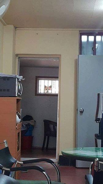 1891189951_977b5ce2_image.jpeg : 반지하에 살면 생기는 일