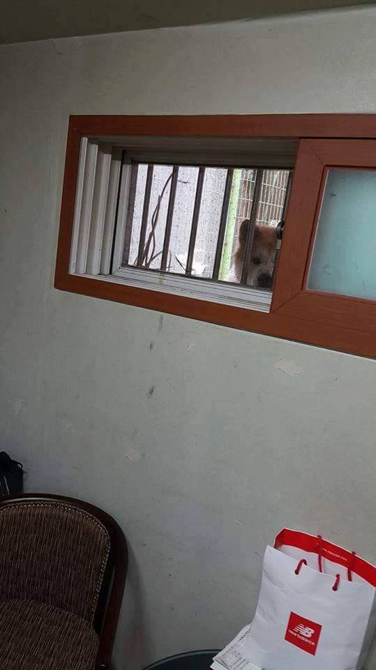 1891189951_dadf046b_image.jpeg : 반지하에 살면 생기는 일