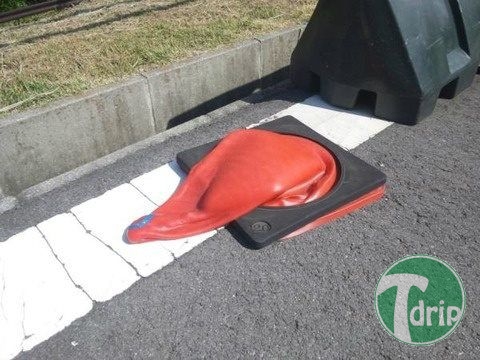 __134400815794623.jpg : 폭염의 위엄.jpg