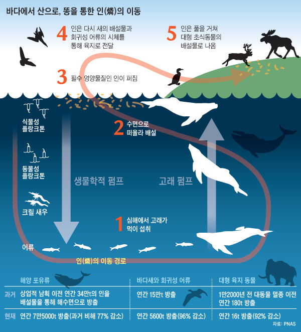 1469970885 (2).jpg : 고래가 똥싸는 모습