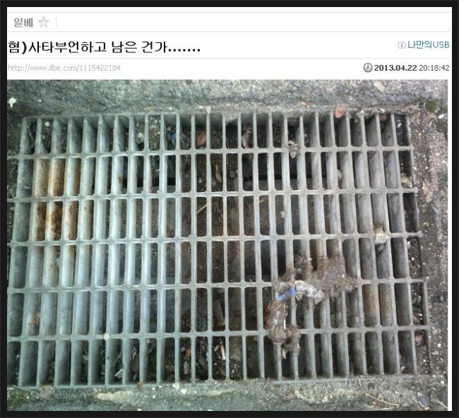 개드립 - (초스압/3줄요약)일상에서 볼 수 있는 장기적출 시체처리의 의심현상들 : 22572A35518471FE17756C 22572A35518471FE17756C