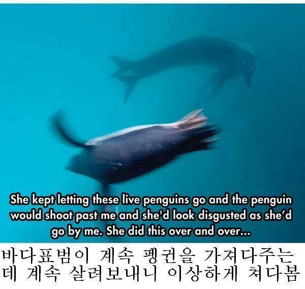 줘도_못먹네5.jpg
