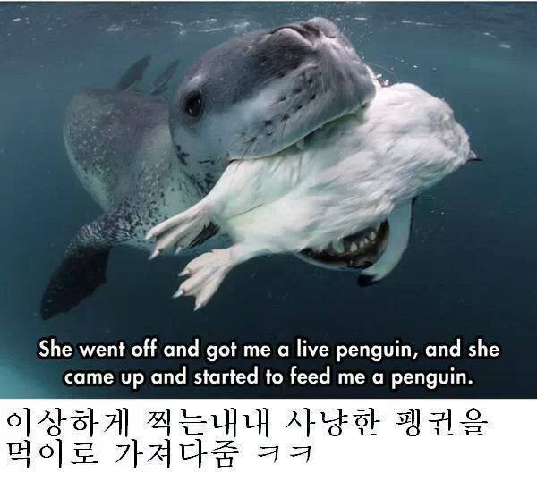 줘도_못먹네4.jpg