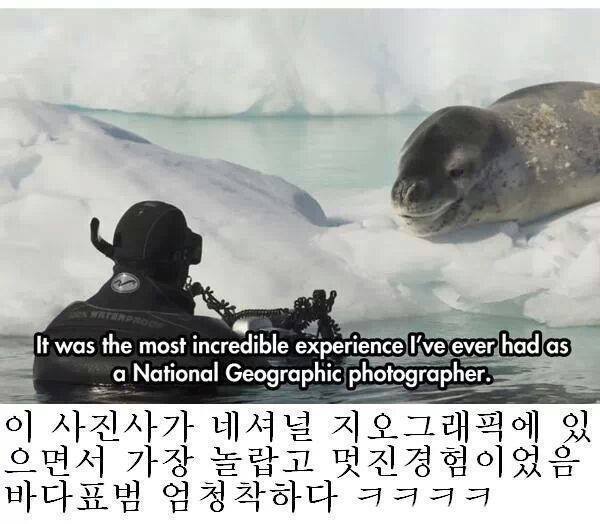 줘도_못먹네10.jpg