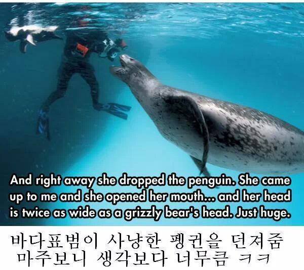줘도_못먹네2.jpg