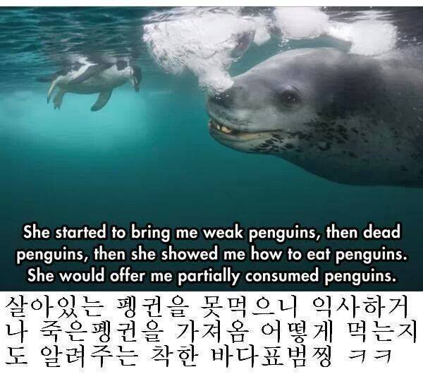 줘도_못먹네7.jpg
