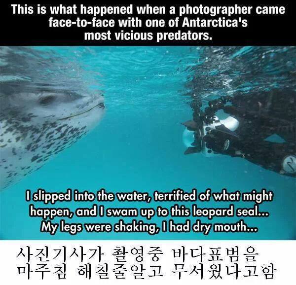 줘도_못먹네1.jpg