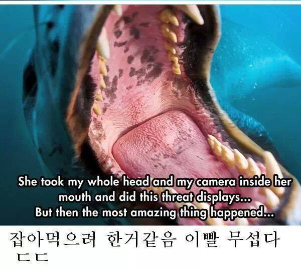 줘도_못먹네3.jpg