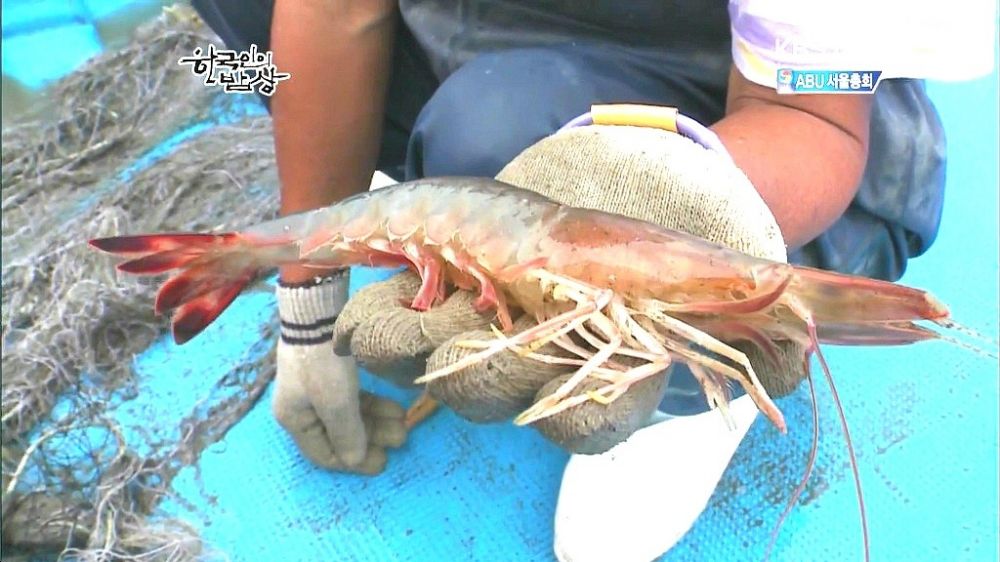 downloadfile.jpg : 대하잡이 어부들의 소박한 새참