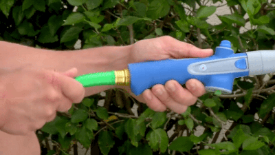 13.gif