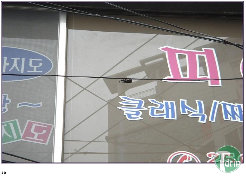 4.jpg : 하늘로 날아간 만원.jpg