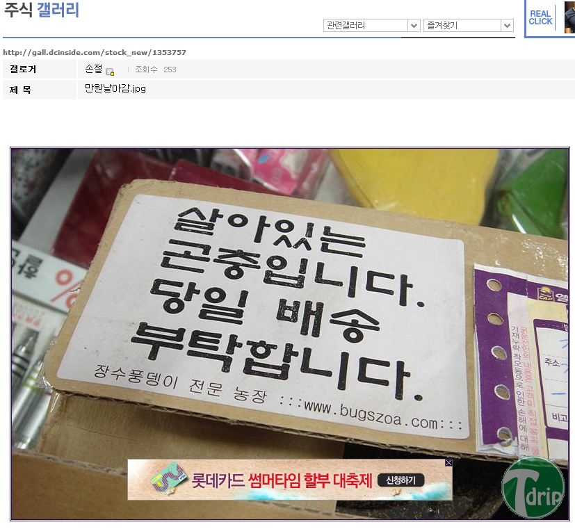 1.jpg : 하늘로 날아간 만원.jpg