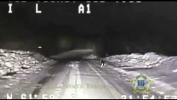 3.gif