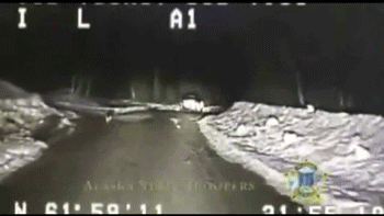 4.gif