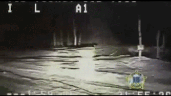 5.gif