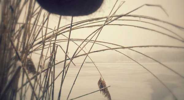 개드립 - With my balls : eb0c396cb97b54f3682628a520012a7e.jpeg image.jpeg : With my balls