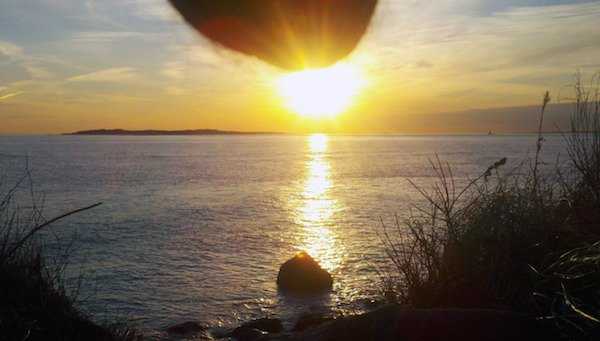 개드립 - With my balls : fa0b332af18549b987572ed8264eef43.jpeg image.jpeg : With my balls