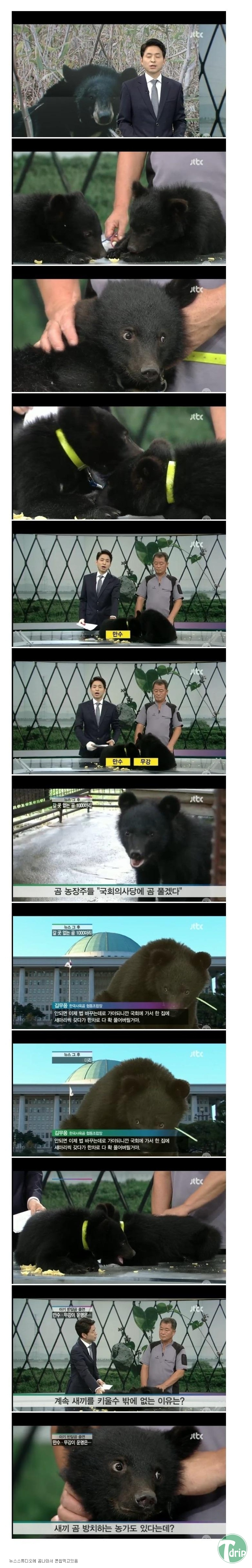 1b.jpg : CG로 모자란 JTBC 뉴스.JPG