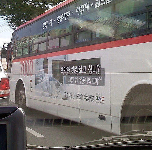 dtd.jpg : 회원 가입로그인 다시보는 우송대학교의 괴소문.jpg
