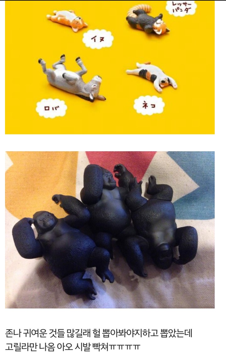 1469967916 (1).jpg : 뽑기의 위험성