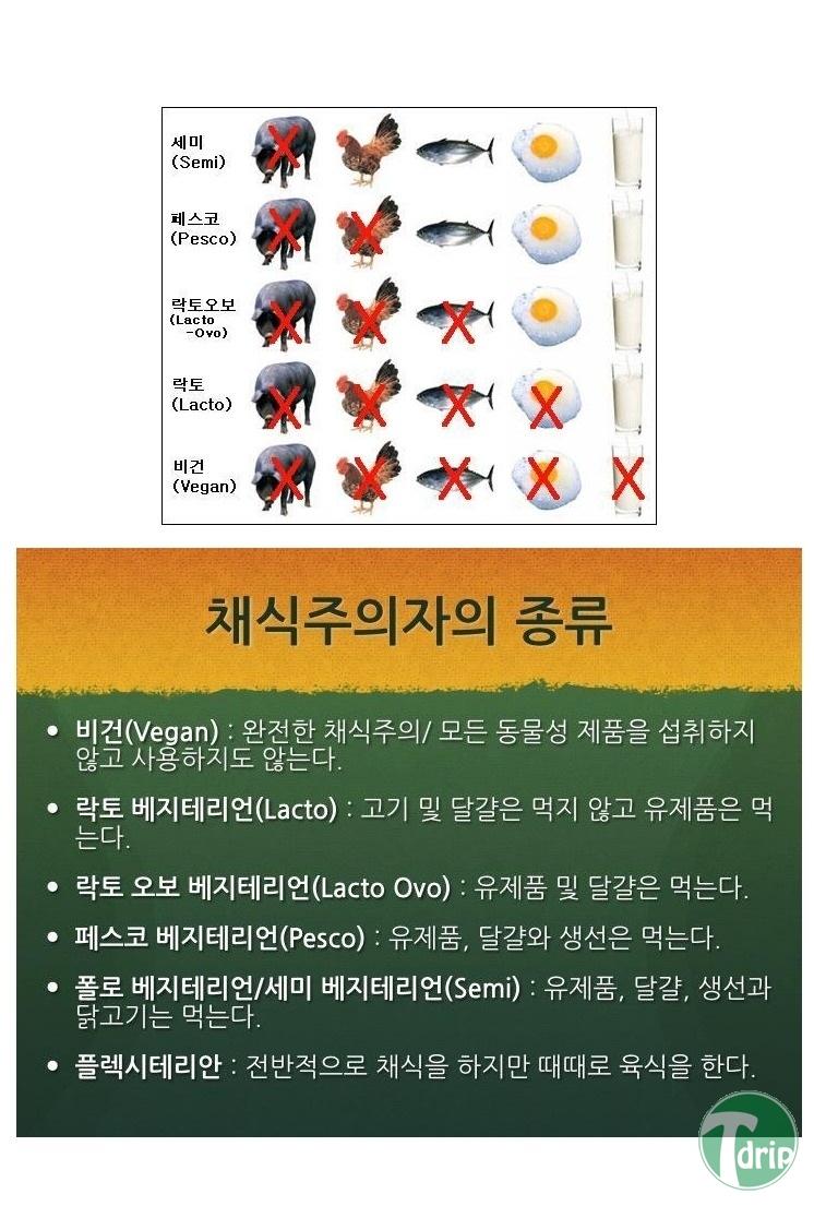 3 (2).jpg : 채식 주의자의 종류.jpg