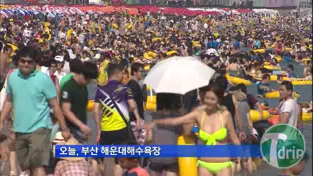 1343495325.jpg : 여름에 뉴스를 봐야하는 이유.jpg