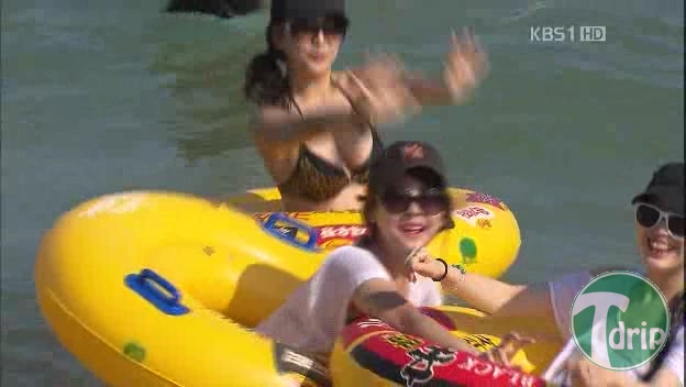 1343495288.jpg : 여름에 뉴스를 봐야하는 이유.jpg