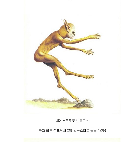 h1.jpg : 미래의 인류.jpg