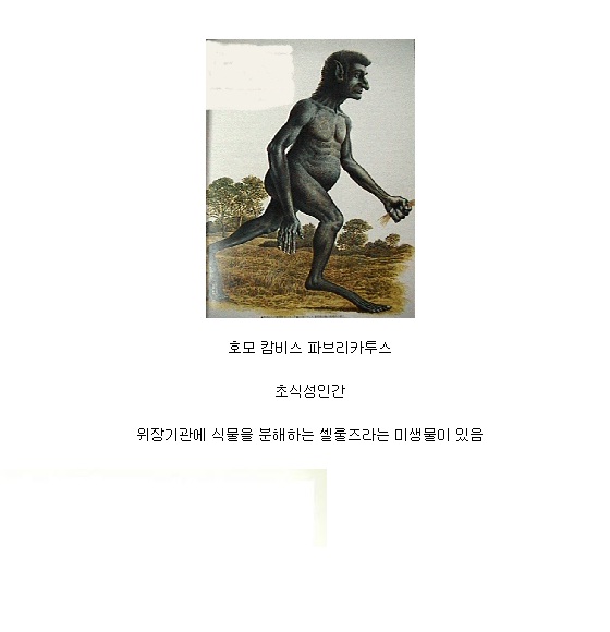 h7.jpg : 미래의 인류.jpg
