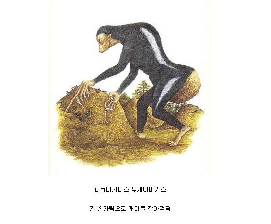 h9.jpg : 미래의 인류.jpg
