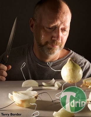 onion-cropped.jpg : 일상음식과 용품들의 발악.jpg