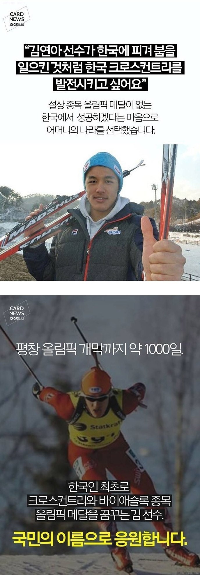 image.jpeg : 스스로 지옥 입성 퍄퍄.jpg