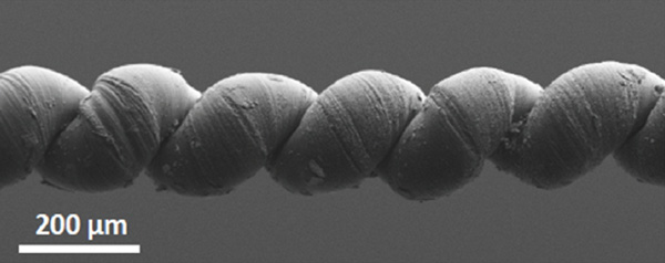nano_2000_@.jpg