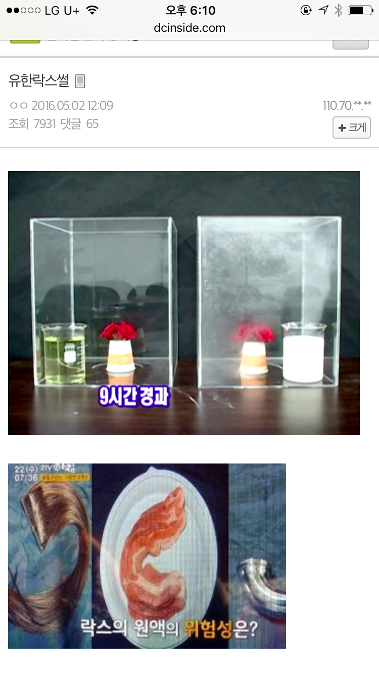 image.png : 셀프 가스실 체험