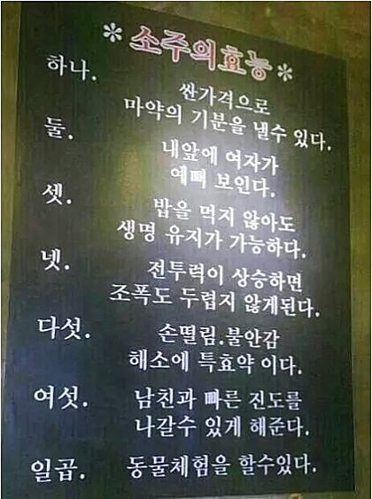 소주의 효능.jpg