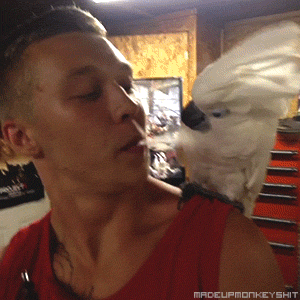 2b336c38a744af1c801ed7d9883ab9fb.gif